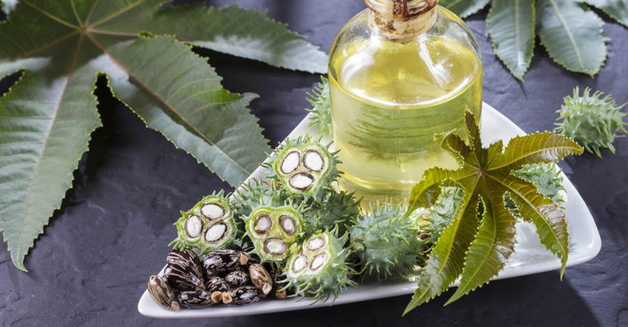 Castor oil with castor beans